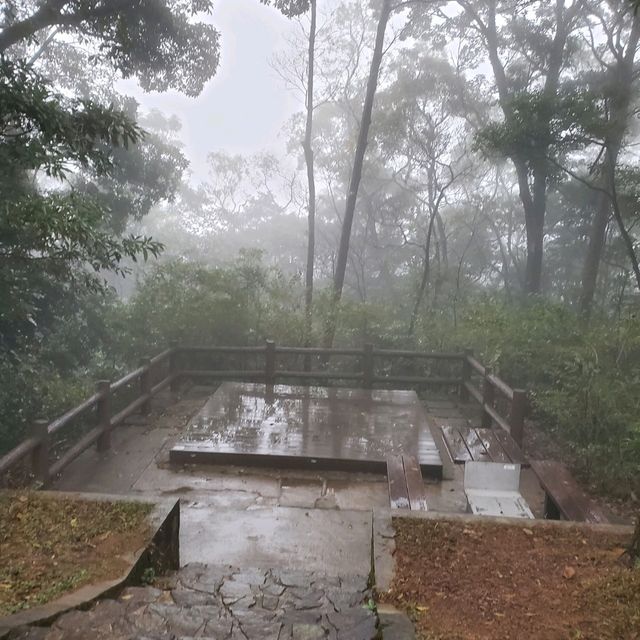 荃錦營地兩日一夜之旅😊