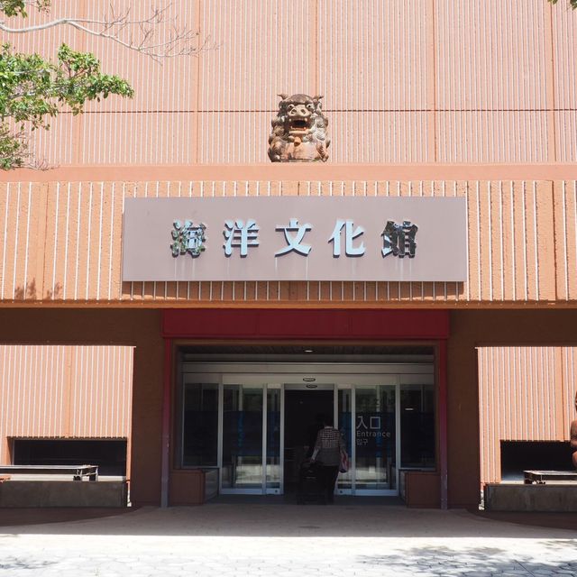 沖繩海洋文化館🫶🏻了解當地特色🈯️必去了解海洋文化