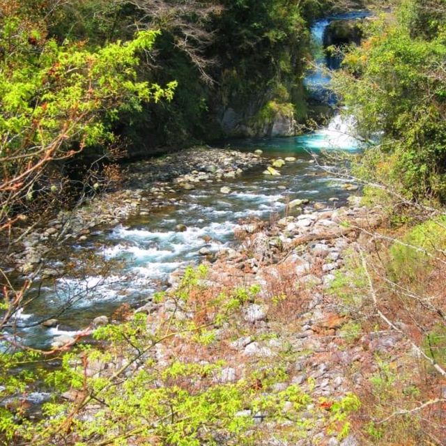 櫻花季武陵美景