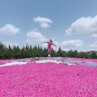 広島県　世羅　花夢の里