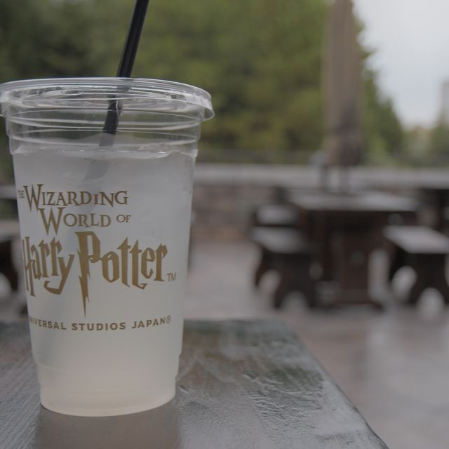 USJ「ハリーポッターの世界観」