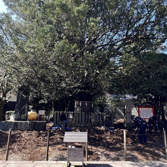 【和歌山】熊野三山のひとつ速玉大社