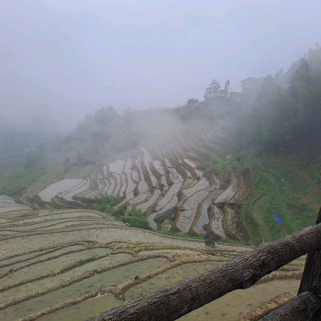 桂林龍脊梯田欣賞的個人體驗感受