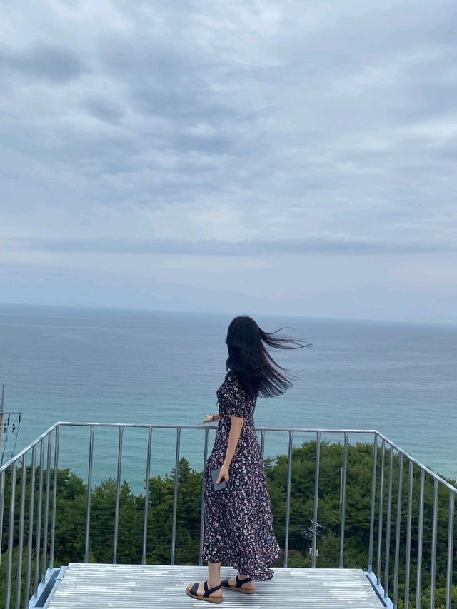 인생샷 100만장 건질수 있는 강릉 하슬라아트월드!