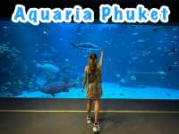 Aquarium​ Phuket ที่ใหญ่ที่สุดในประเทศไทย​