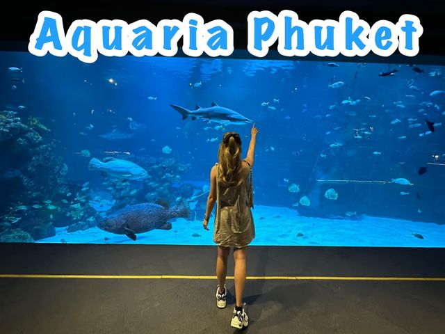 Aquarium​ Phuket ที่ใหญ่ที่สุดในประเทศไทย​