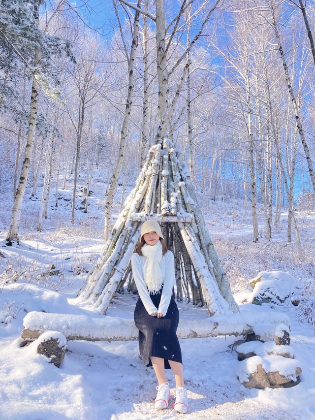 ❄️한국의 겨울왕국❄️ 인제 자작나무숲