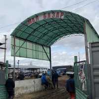 동물을 사고 파는 일요일 가축 시장인 Livestock Bazar 🇰🇬