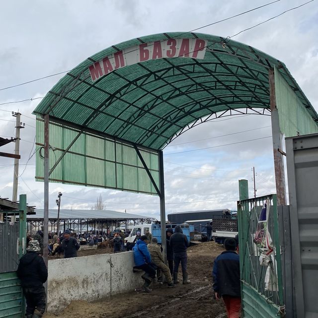 동물을 사고 파는 일요일 가축 시장인 Livestock Bazar 🇰🇬