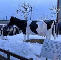 【北海道】美しい自然を体現！釧路空港のオブジェ群！
