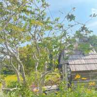 ชี้เป้าถ่ายรูป ฮีลใจ ถ้าไปลพบุรีห้ามพลาด