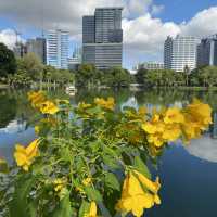 Lumphini Park