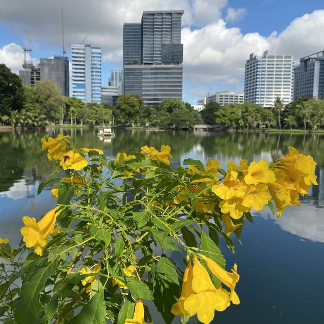 Lumphini Park