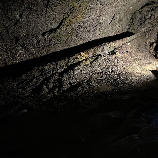 富岳風穴 WIND CAVE
