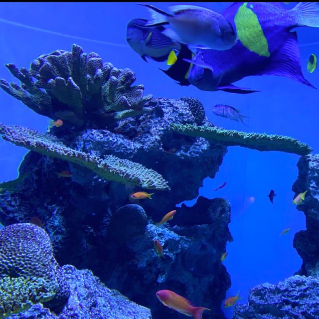 📍葛西臨海水族園