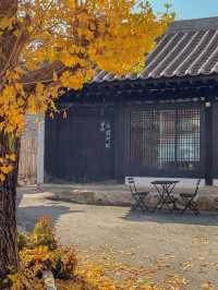 떠나가는 가을이 아쉽다면, 공주 로컬커피🍂