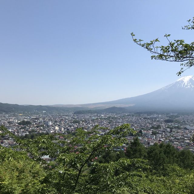 日本最美富士山景點，新倉山淺間公園