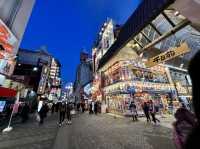 Vibrant Nightlife in Osaka
