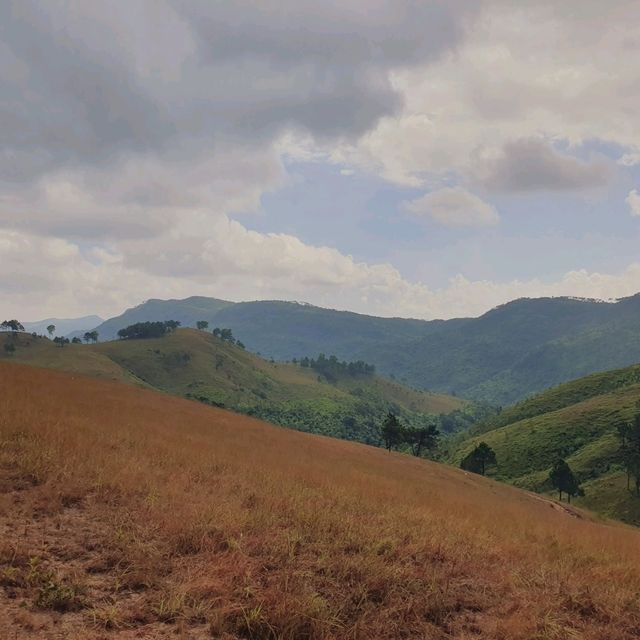 Phuong Hoang Hills