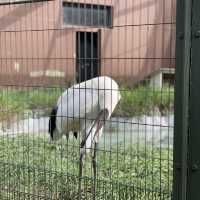 円山動物園