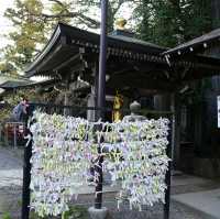 Takao Mountain