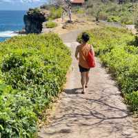 Day tour to Nusa Penida 