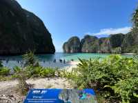 The reputable Maya Bay. 