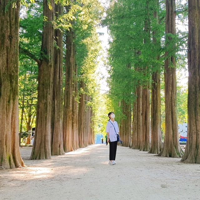 '동화나라, 노래의 섬' 남이섬🏝