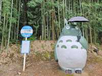 Ryokan Cafe คาเฟ่ที่มีน้องโตโตโร่ จ.เชียงราย