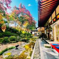 【長野県/美しい紅葉🍁と庭園を縁側から眺められるお寺】