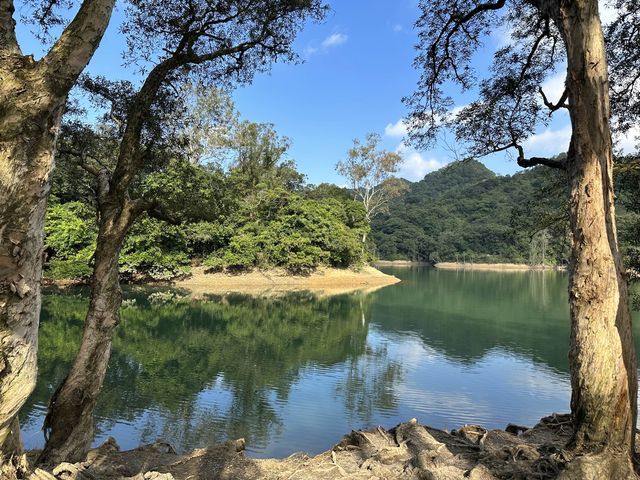迷人的水塘與白千層，踏上城門水塘之旅