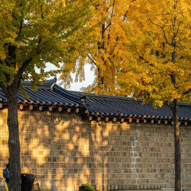 首爾地標南山塔，秋天太美了！