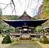 Kanegasakigu's Timeless Spiritual Journey