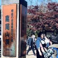 東京紅葉實況