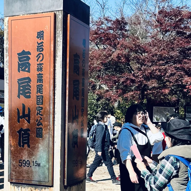 東京紅葉實況