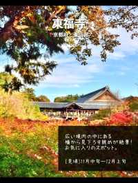 【京都】日本屈指の紅葉スポット！絶景7選