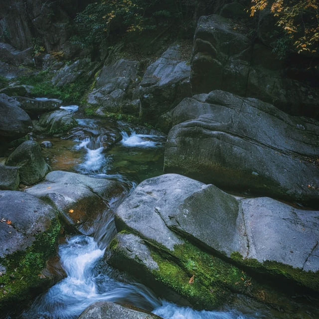 秀靈瀑布風景區 💦🌿大自然的清新🏞️🚶