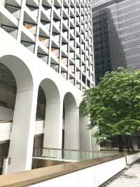 香港最pet friendly的五星級打卡酒店-香港美利酒店