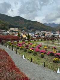 Maple Leaf Festival @ Momiji Corridor 🇯🇵