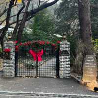 【韓国/釜山】クリスマスの雰囲気を味わうならここ！