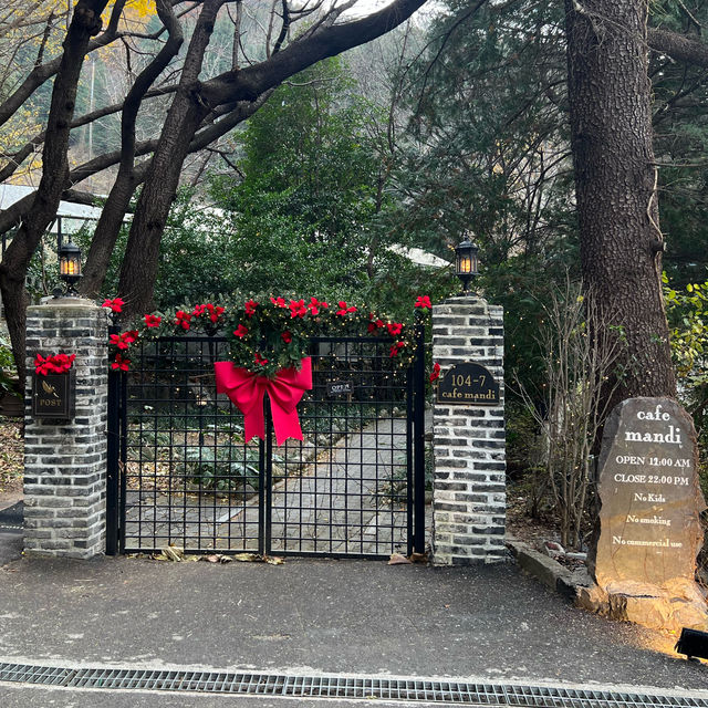 【韓国/釜山】クリスマスの雰囲気を味わうならここ！