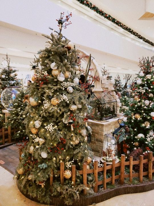 🎄太古廣場🎄奇幻森林