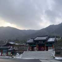 한의학의 역사를 한눈에 볼 수 있는, 산청 한방 테마파크