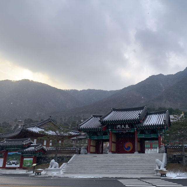 한의학의 역사를 한눈에 볼 수 있는, 산청 한방 테마파크