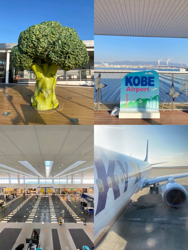 神戸空港からのスカイマーク搭乗記