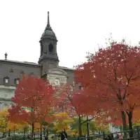 Notre-Dame Montreal