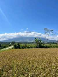 The Majesty of Mount Semeru Volcano