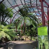 Beautiful Royal Botanic Garden in Sydney