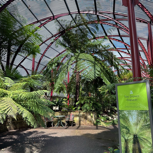 Beautiful Royal Botanic Garden in Sydney