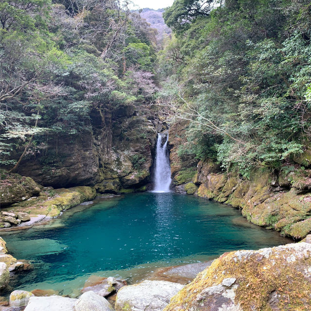 【高知】にこ淵